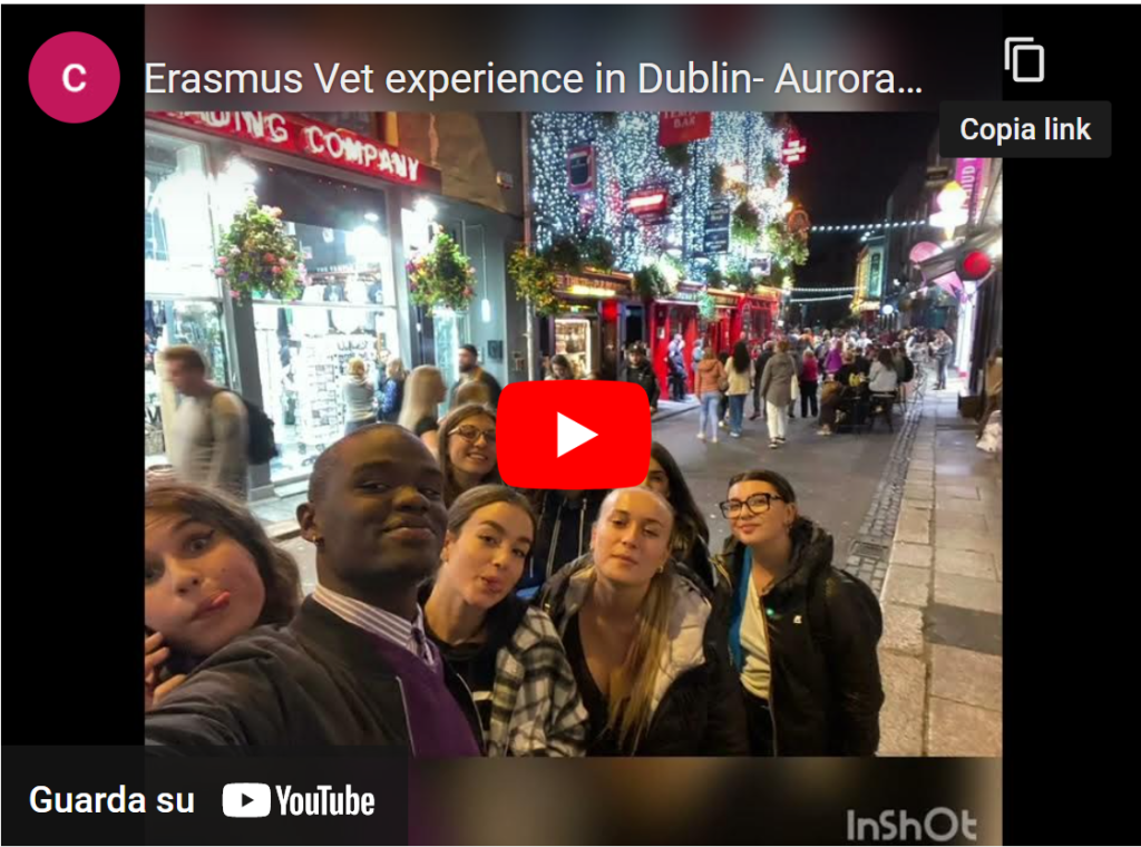 Clicca sull'immagine per vedere il video Erasmus Vet experience in Dublin- Aurora B. su Youtube